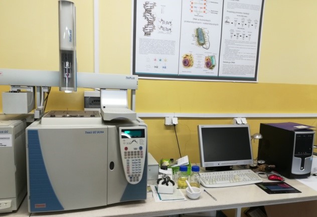 System chromatografii gazowej z detektorem FID